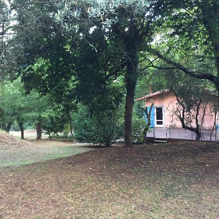 Villa Casa Oliveto Camaiore Exterior foto