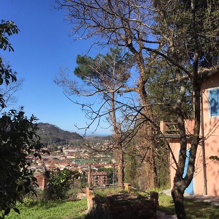 Villa Casa Oliveto Camaiore Exterior foto