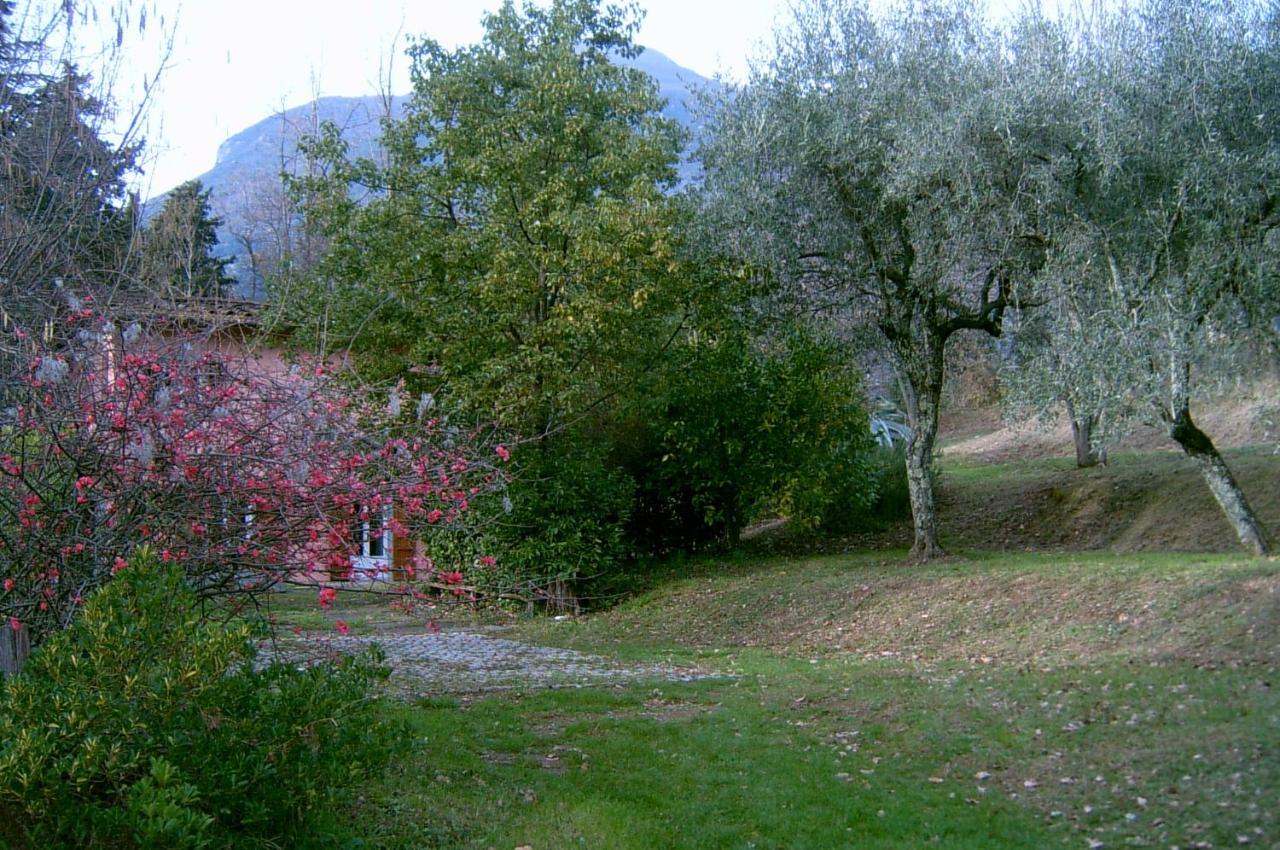 Villa Casa Oliveto Camaiore Exterior foto