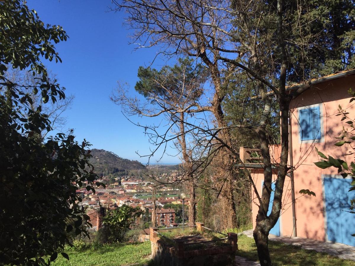 Villa Casa Oliveto Camaiore Exterior foto